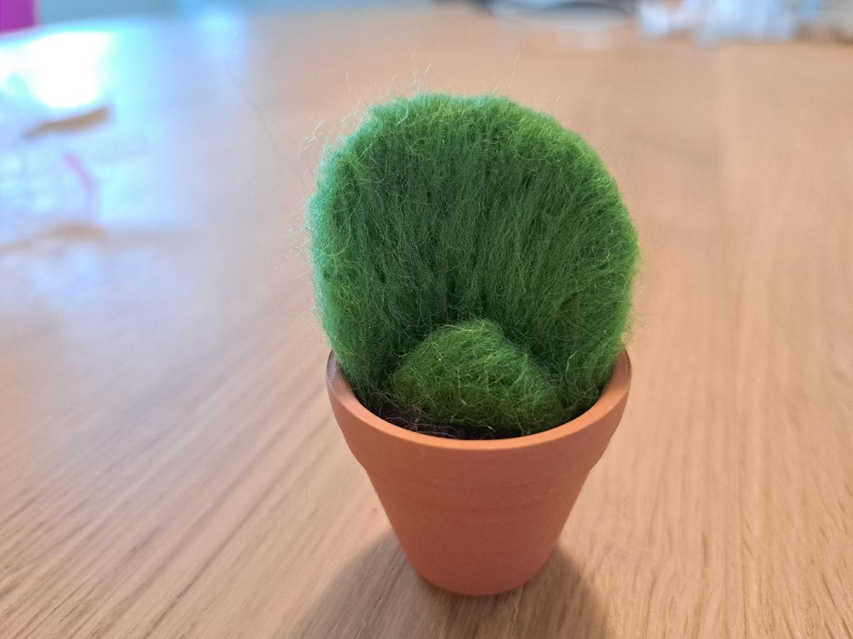 Zelfgemaakt cactusje