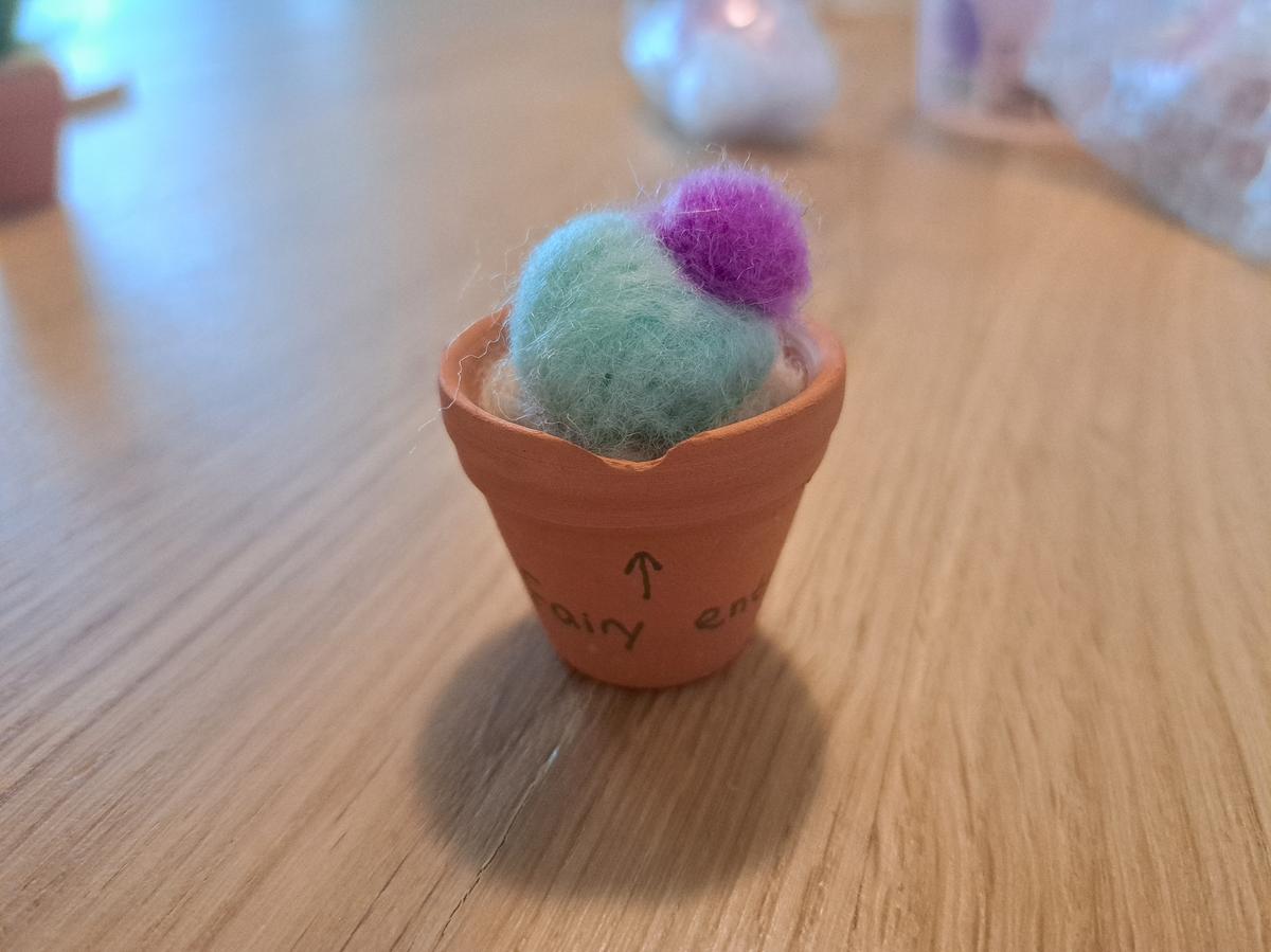 Cactusje met spreuk