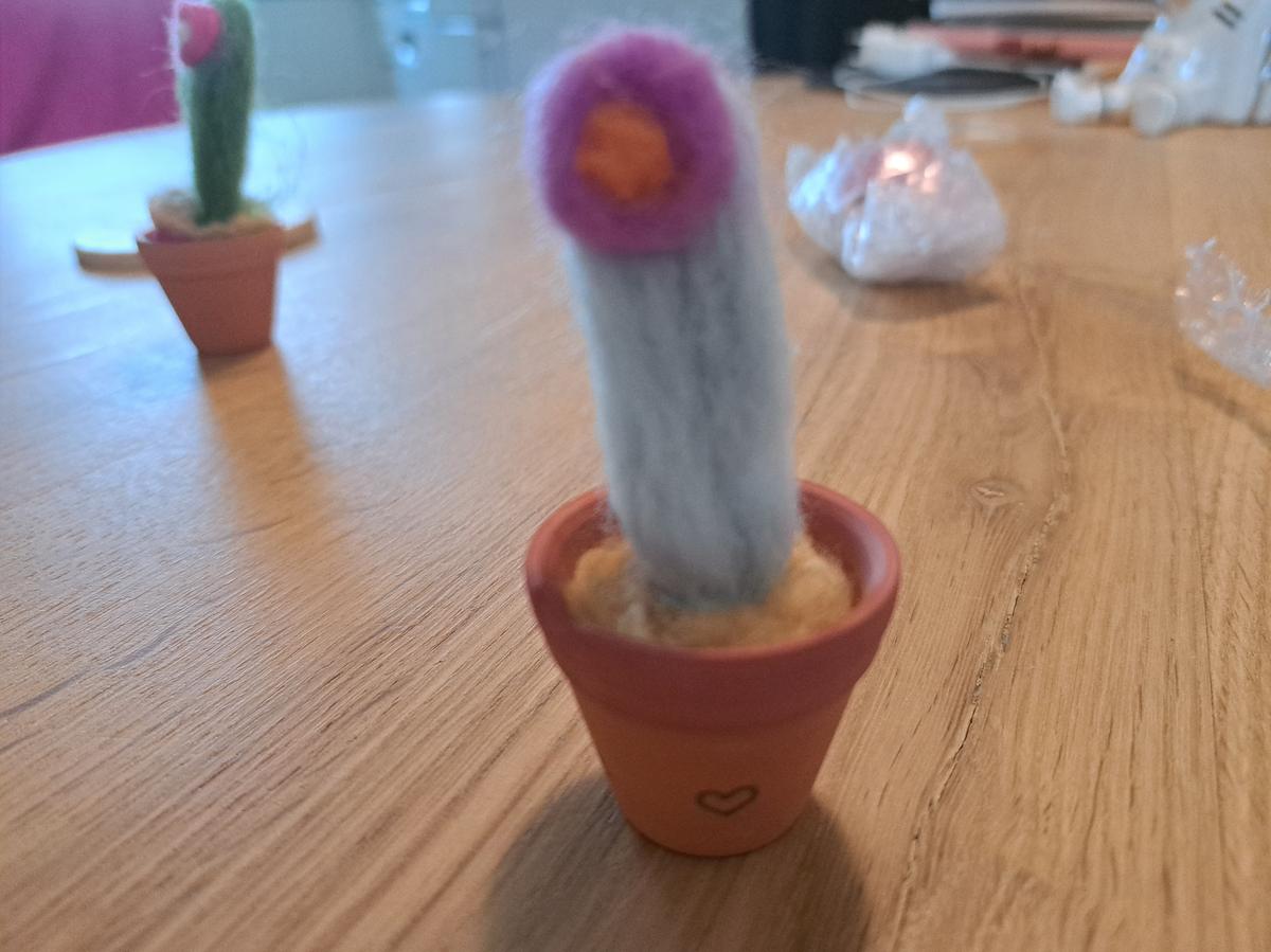 Cactusje met spreuk